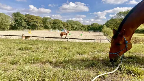 Image du carrousel 1
