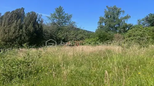 Image du carrousel 1