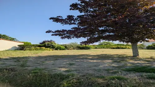 Image du carrousel 1