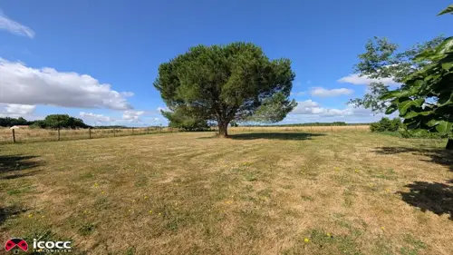 Image du carrousel 1