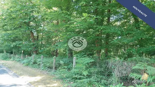 Image du carrousel 1