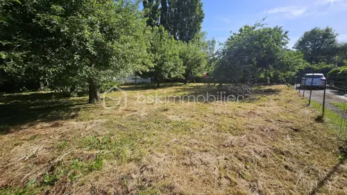 Image du carrousel 1