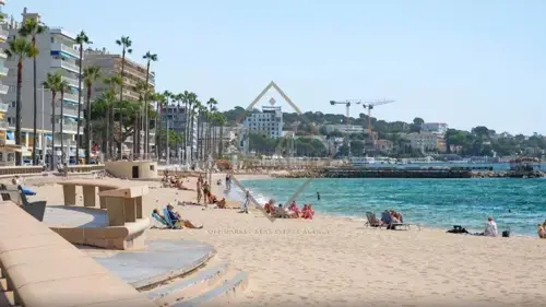 Image du carrousel 1
