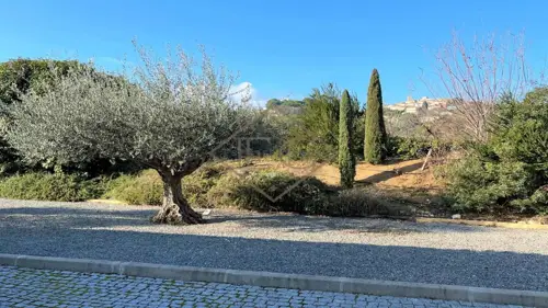 Image du carrousel 1