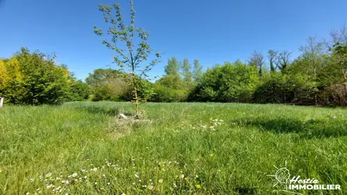 Image du carrousel 1