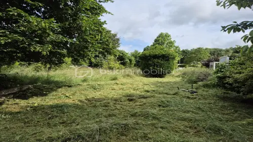 Image du carrousel 1