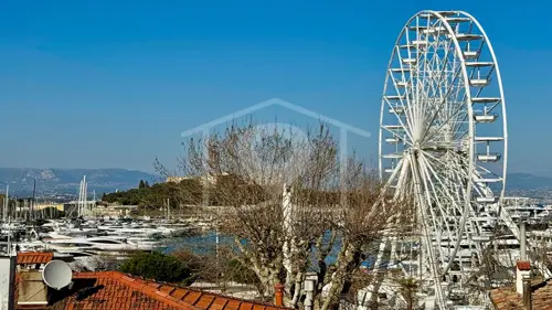 Image du carrousel 1