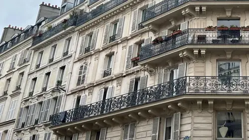 Image du carrousel 1