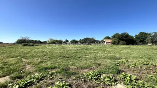 Image du carrousel 1
