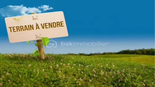 Image du carrousel 1