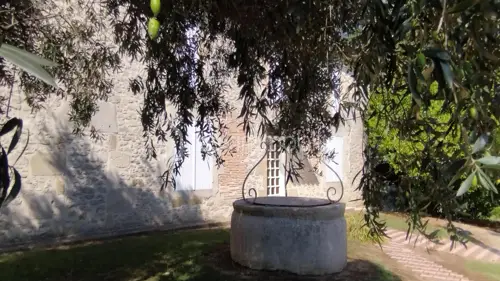 Image du carrousel 1