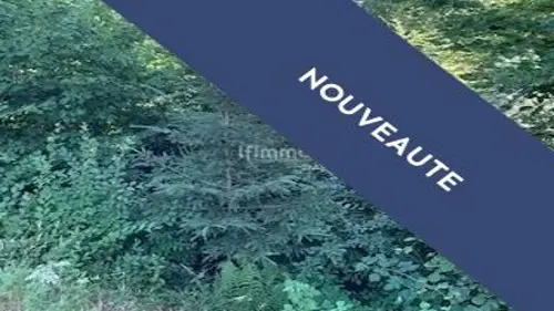 Image du carrousel 1