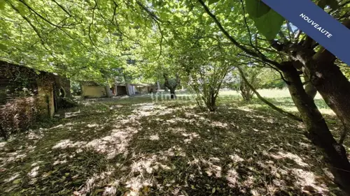 Image du carrousel 1