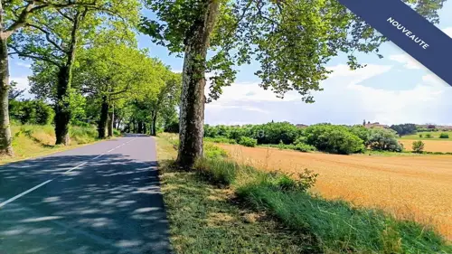 Image du carrousel 1