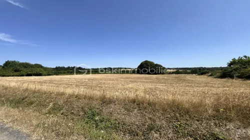 Image du carrousel 1