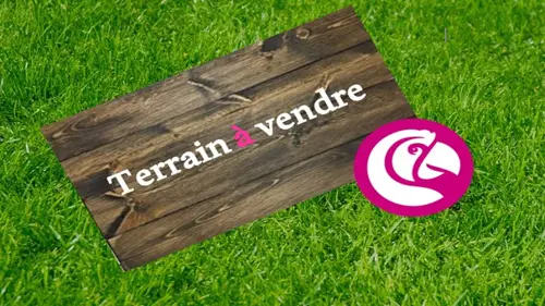 Image du carrousel 1