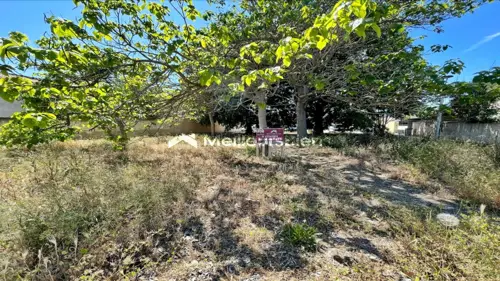 Image du carrousel 1