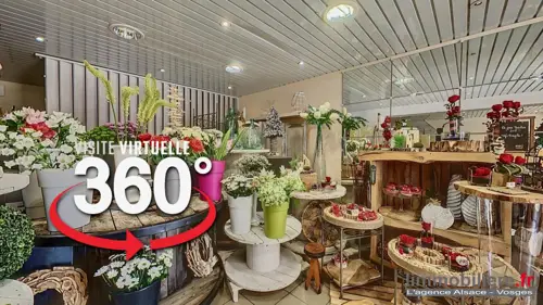 Image du carrousel 1