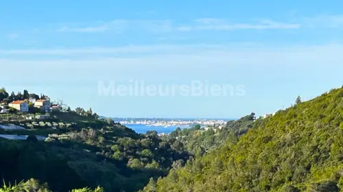 Image du carrousel 1