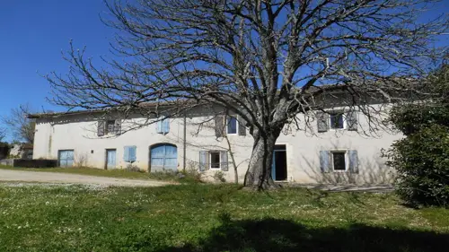 Image du carrousel 1