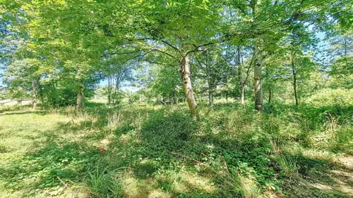 Image du carrousel 1