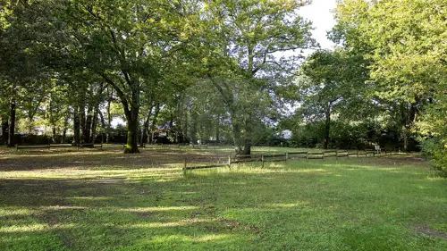 Image du carrousel 1