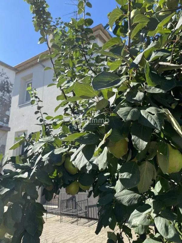 Appartement rez -de-jardin   à Mulhouse
