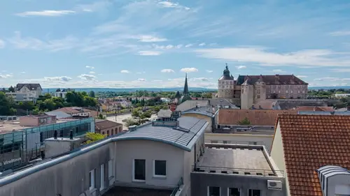 Image du carrousel 1