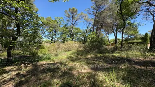 Image du carrousel 1