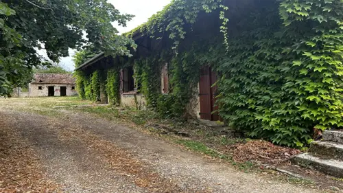 Image du carrousel 1
