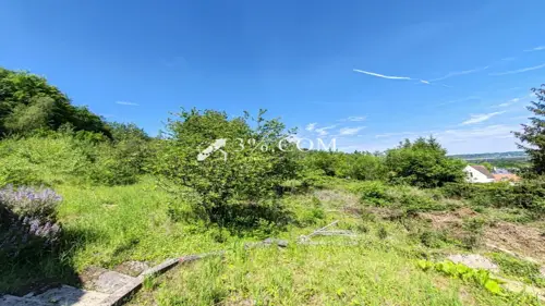 Image du carrousel 1