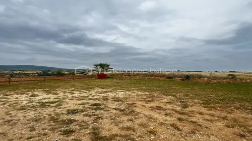 Image du carrousel 1