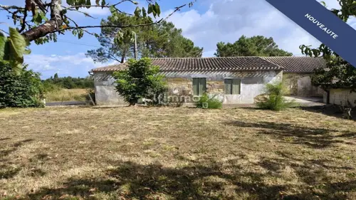 Image du carrousel 1