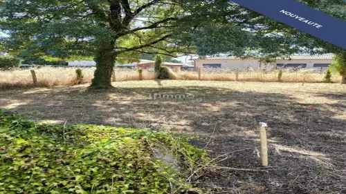 Image du carrousel 1