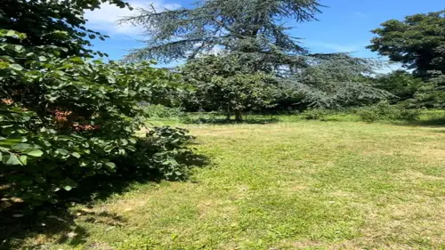 Image du carrousel 1
