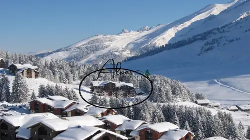 Image du carrousel 1