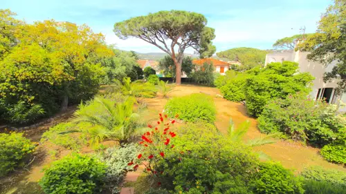 Image du carrousel 1