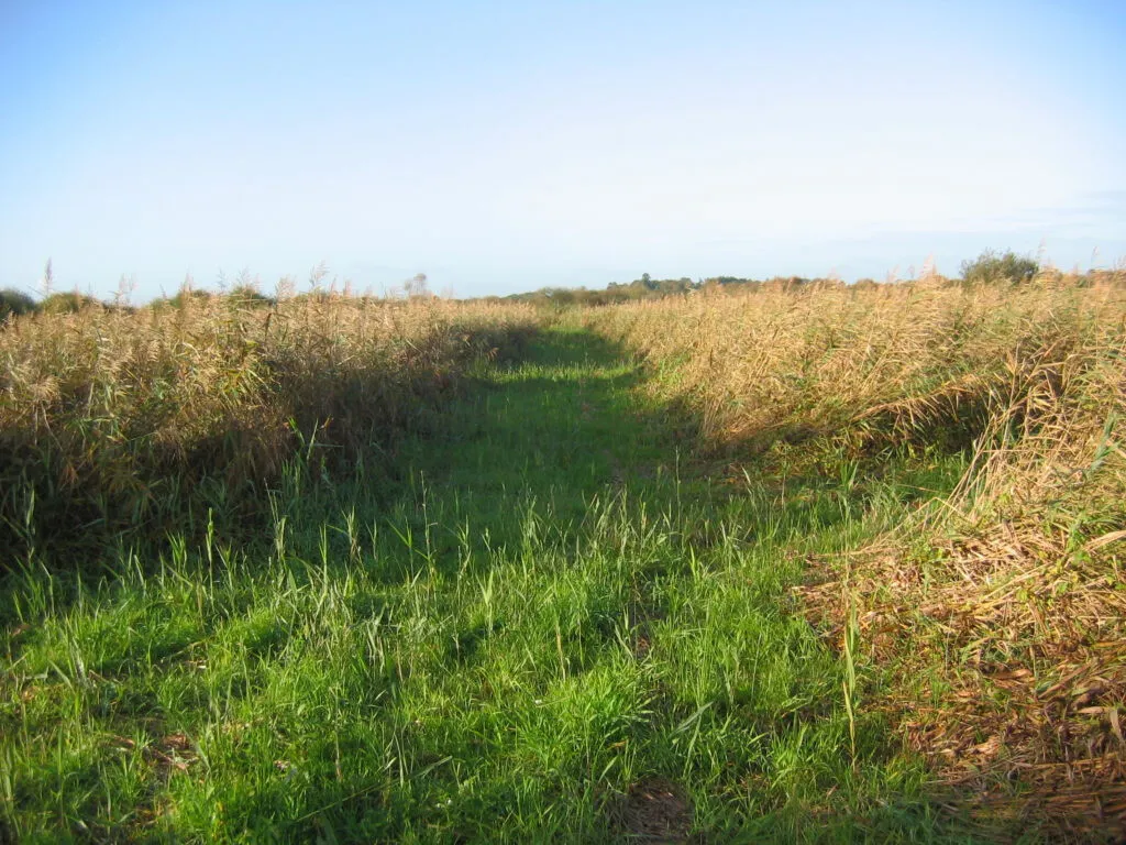 Propriété - Arras - 250000m²