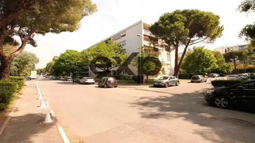Image du carrousel 1