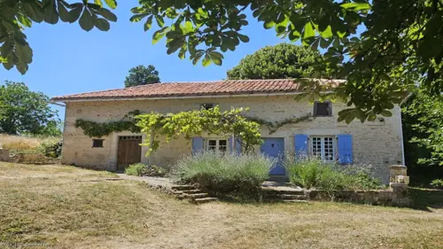 Image du carrousel 1
