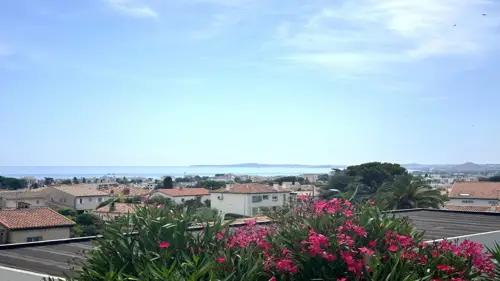 Image du carrousel 1