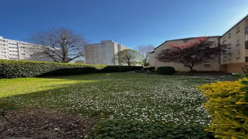 Image du carrousel 1