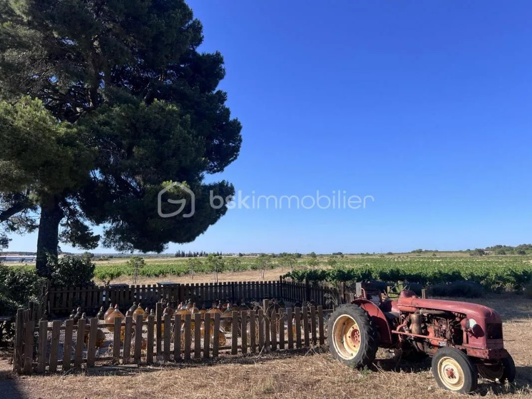 Domaine viticole avec ses 490 m3 de bâti dont 186 actuellement en habitable et ses 11ha de vignes
