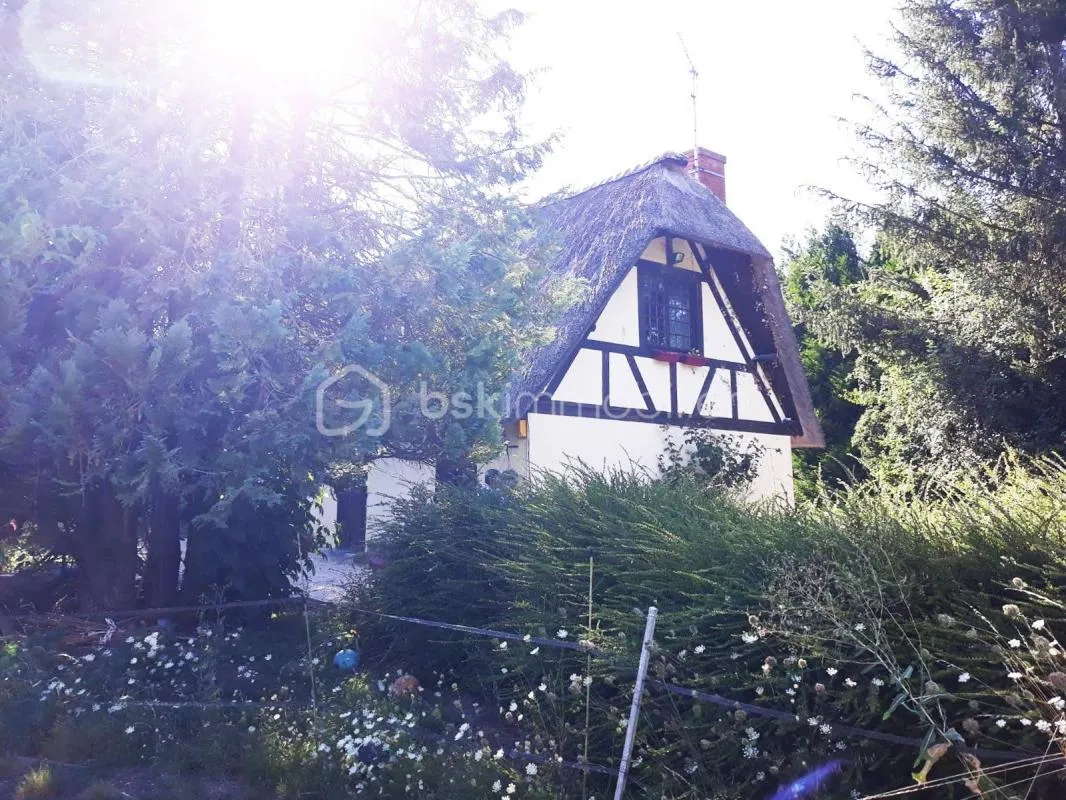 CHAUMIERE 87M² CHATENAY SUR SEINE