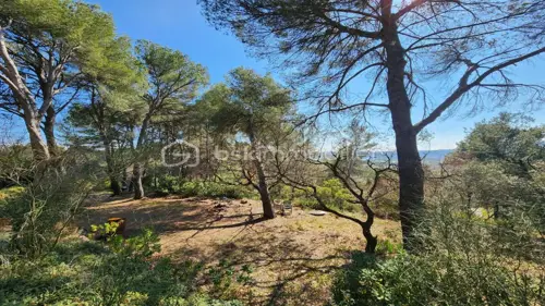 Image du carrousel 1