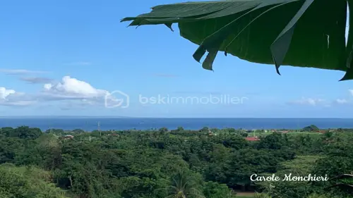 Image du carrousel 1