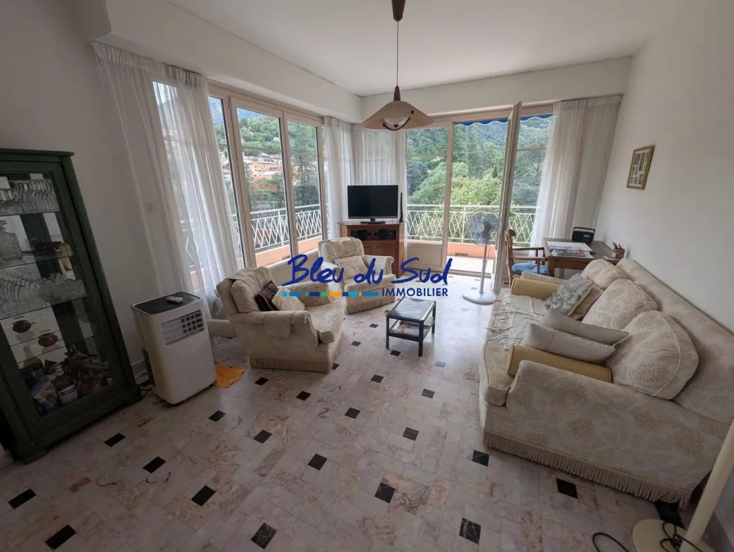 Très bel appartement avec terrasses et vue Canigou