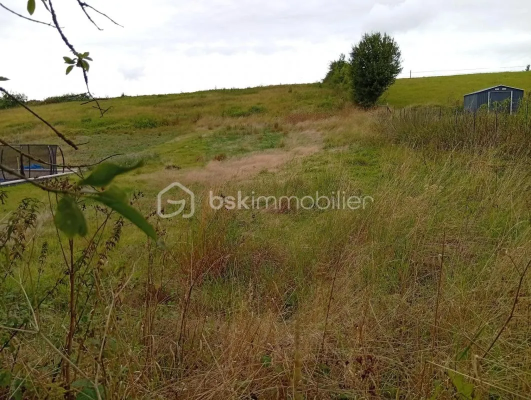 Terrain viabilisé 814 m² + Terrain naturel 28974 m² en option