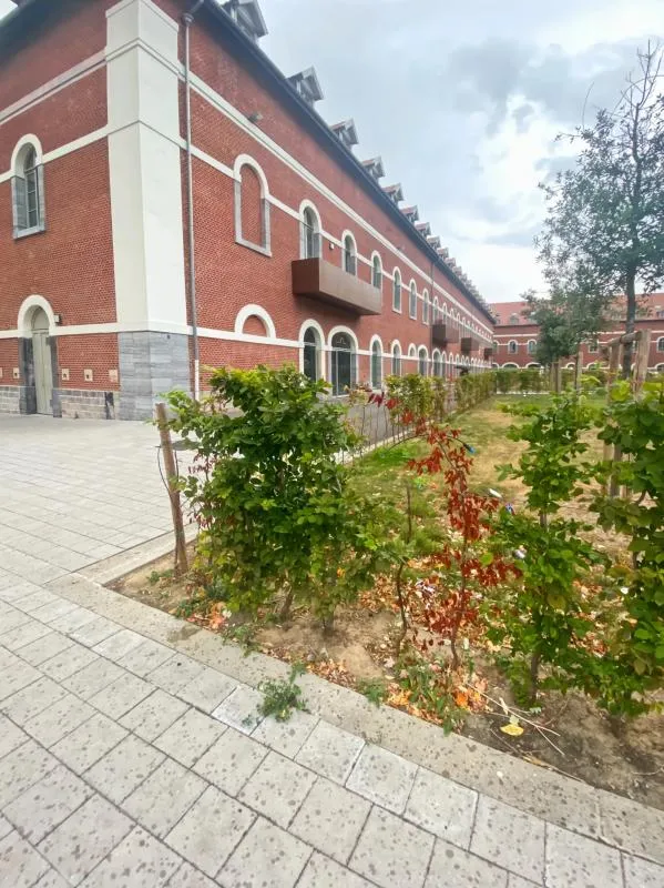 Duplex de 3 pièces vendu loué - 87 m² - Valenciennes