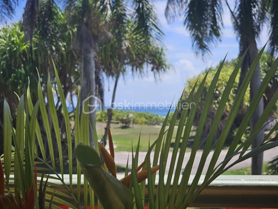 Splendide studio vue mer Anse des Rochers